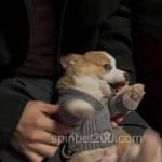 Avatar de Manuel Ortiz